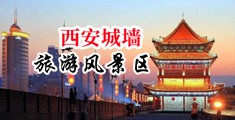 操骚B扒穴中国陕西-西安城墙旅游风景区