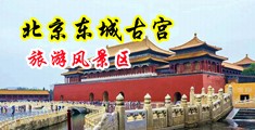 扒b阴嘿咻无码中国北京-东城古宫旅游风景区